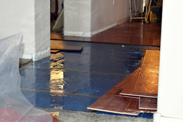 Professional Burst Pipe Cleanup technician working in Santa Cruz, NM